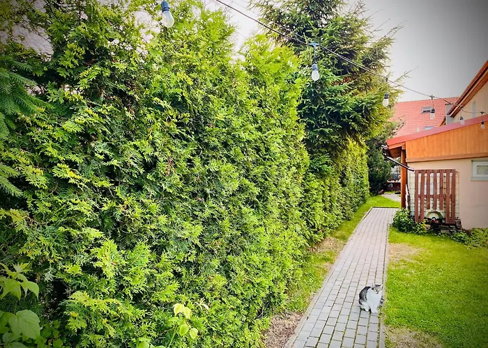 Woku Accommodatie bij particulieren *